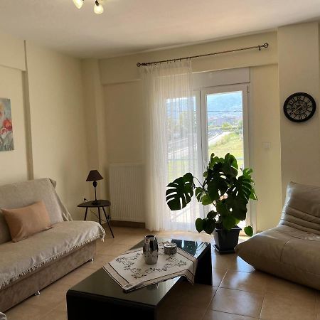 Olympian Two Floor Apartment Leptokarya (Pieria) Exterior foto