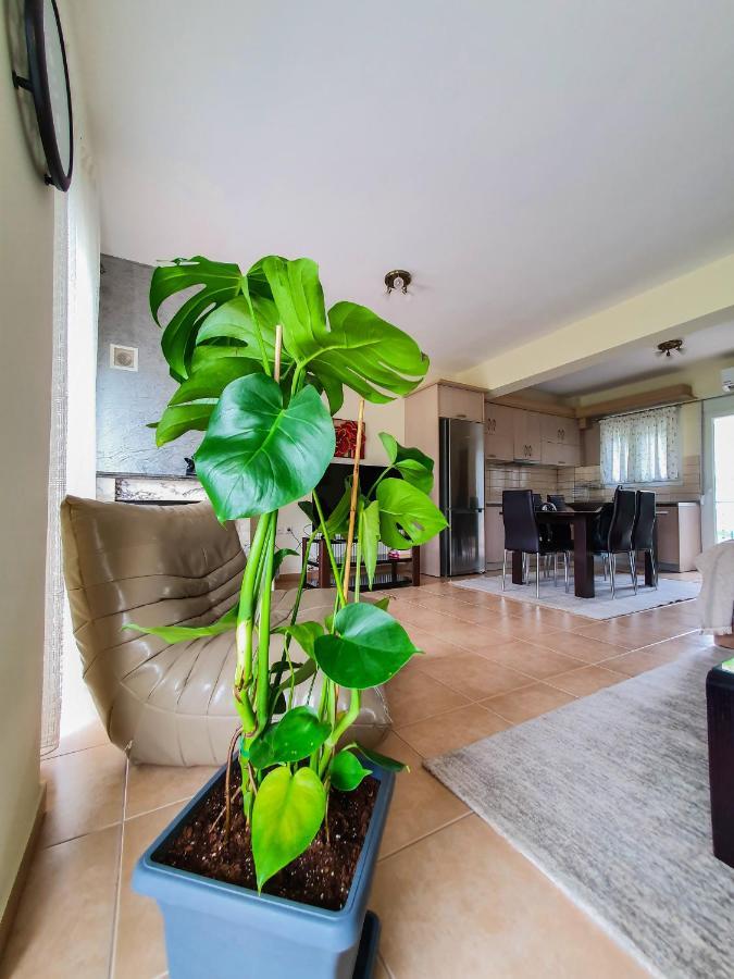 Olympian Two Floor Apartment Leptokarya (Pieria) Exterior foto